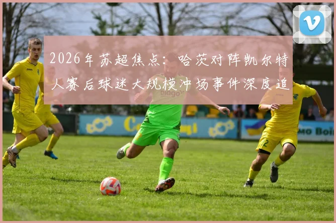 2026年苏超焦点:哈茨对阵凯尔特人赛后球迷大规模冲场事件深度追踪,警方介入调查进展