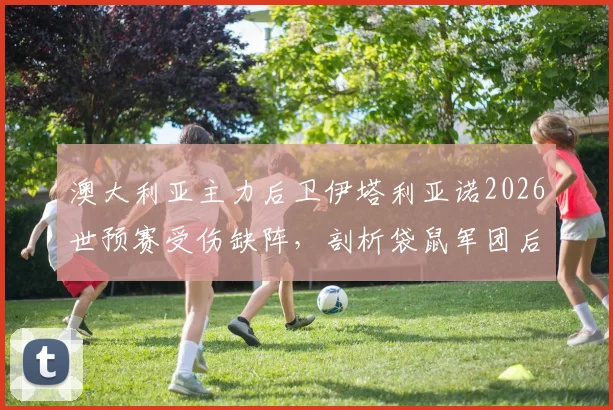 澳大利亚主力后卫伊塔利亚诺2026世预赛受伤缺阵,剖析袋鼠军团后防线调整方案及对巴拉圭战术影响